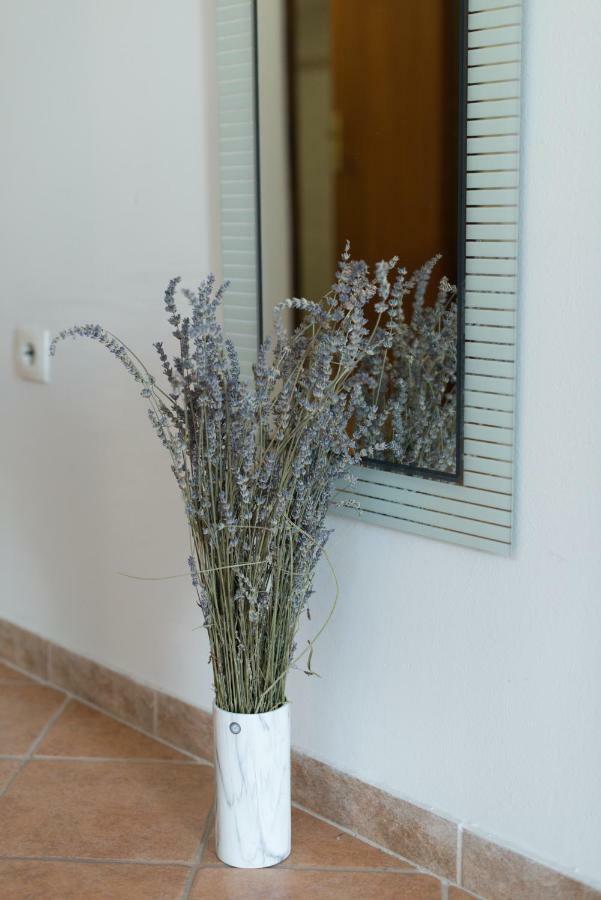 Apartmani Admiral Viskovo ภายนอก รูปภาพ